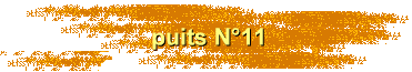 puits N11