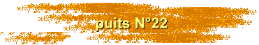 puits N22