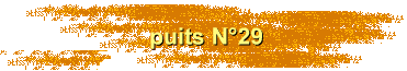 puits N29