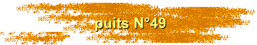 puits N49